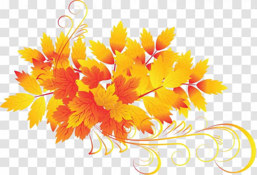 Autumn Clip Art - Orange - Withered Leaves Transparent PNG