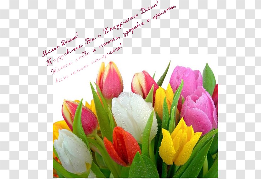 Tulip Flower Bouquet Desktop Wallpaper - Bulb Transparent PNG