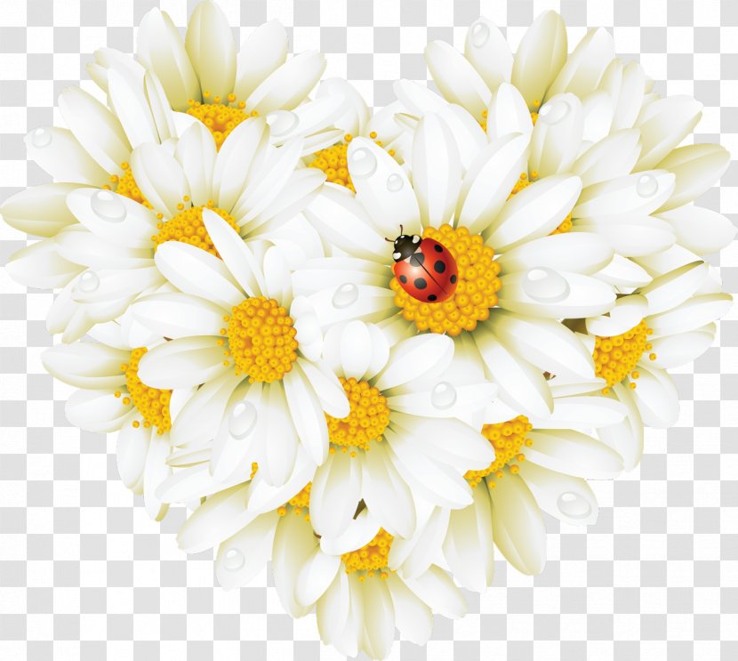 Germany Greeting Guestbook Morning Communication - Daisy - Pollen Transparent PNG