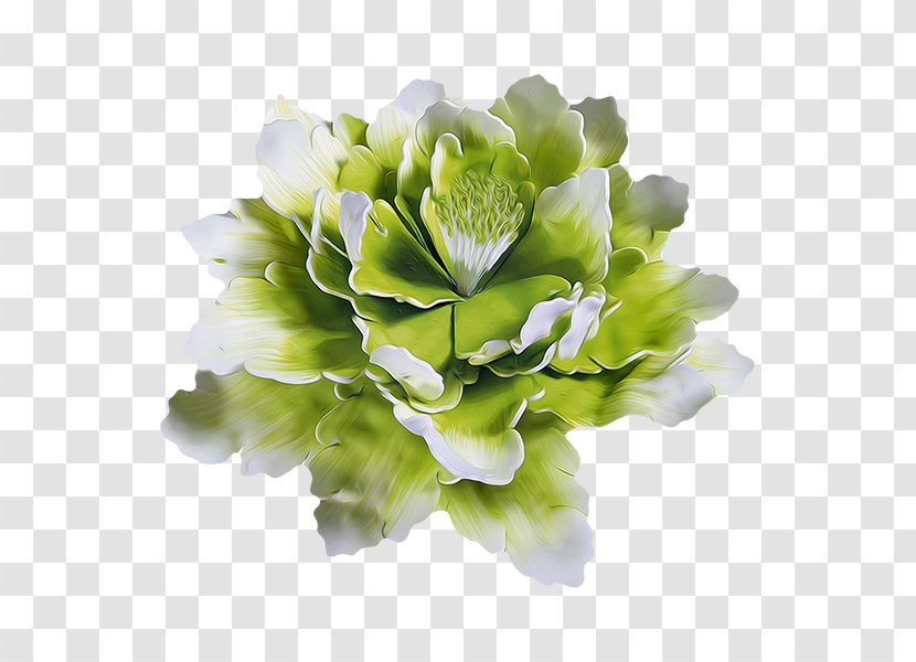 Floral Design Cut Flowers LiveInternet Clip Art - Floristry - Flower Transparent PNG