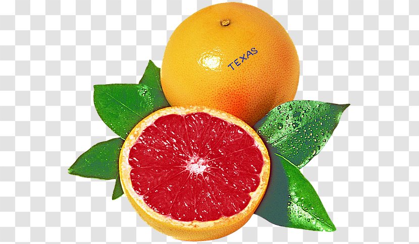 Blood Orange Grapefruit Juice Rangpur Tangelo - Fruit Transparent PNG