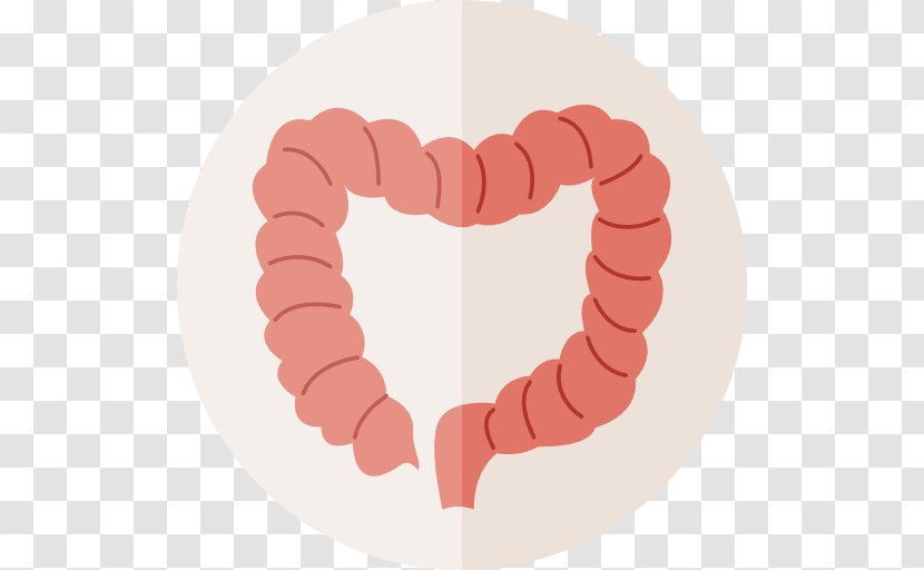 Large Intestine Gastrointestinal Tract Small Human Body - Flower - Humanoid Icon Transparent PNG