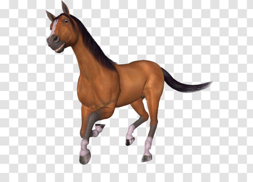 Mustang Pony Stallion Brush - Paintbrush Transparent PNG
