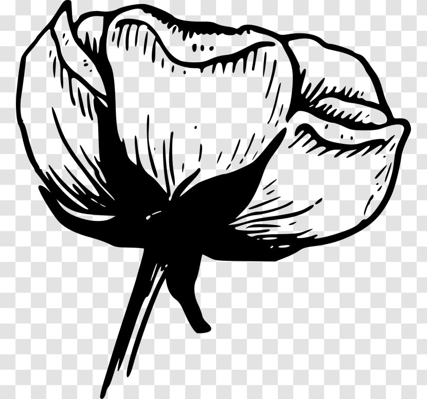 Flower White Black Rose Clip Art - Artwork Transparent PNG