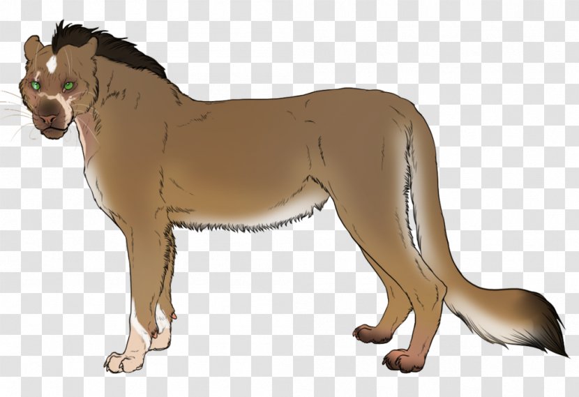 Lykoi Dog Breed Lion - Animal - Classical Shading Transparent PNG