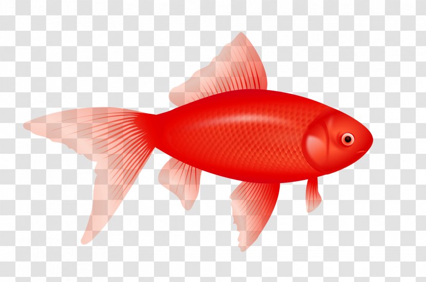 One Fish, Two Red Blue Fish Flounder Clip Art - Stockxchng - Cliparts Transparent PNG