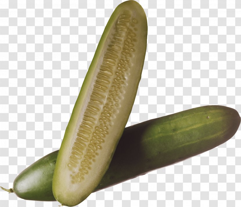Cucumber Vegetable Clip Art - Digital Image - Salt Cucumbers Transparent PNG