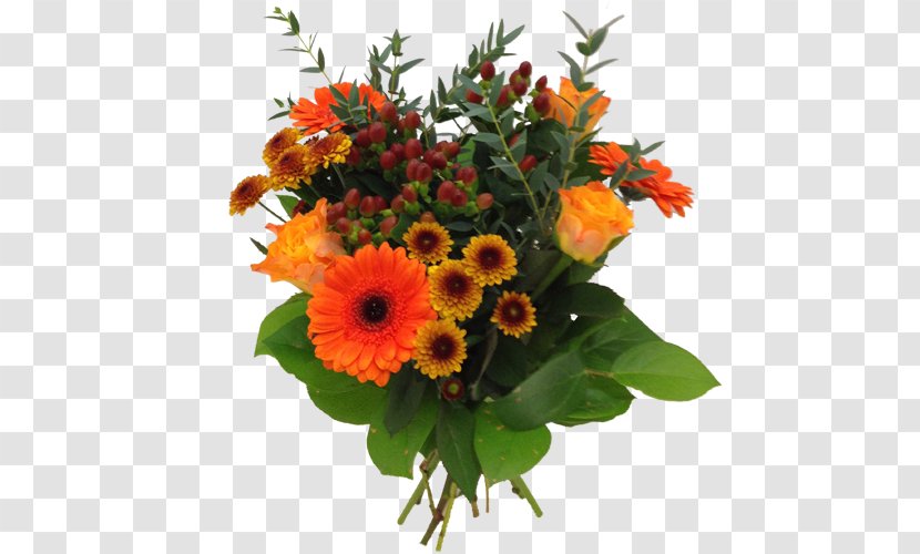 Transvaal Daisy Flower Bouquet Cut Flowers Floral Design - Flowerpot Transparent PNG