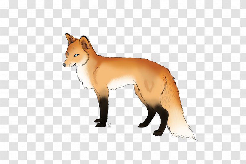 Red Fox Dog Breed Fur Fauna - Mammal Transparent PNG