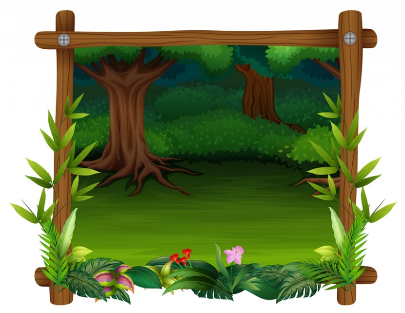 Picture Frame - Landscape - Rectangle Vascular Plant Transparent PNG