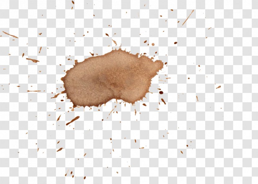 Coffee United Nations Security Council Resolution 1386 Snout - Watercolor Stain Transparent PNG