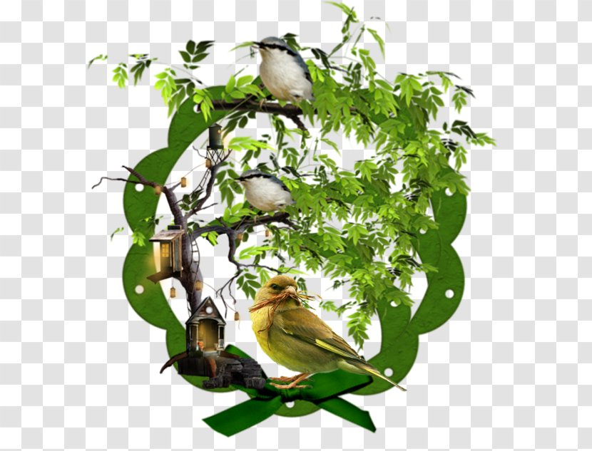 Blog Bird Clip Art - Tree Transparent PNG