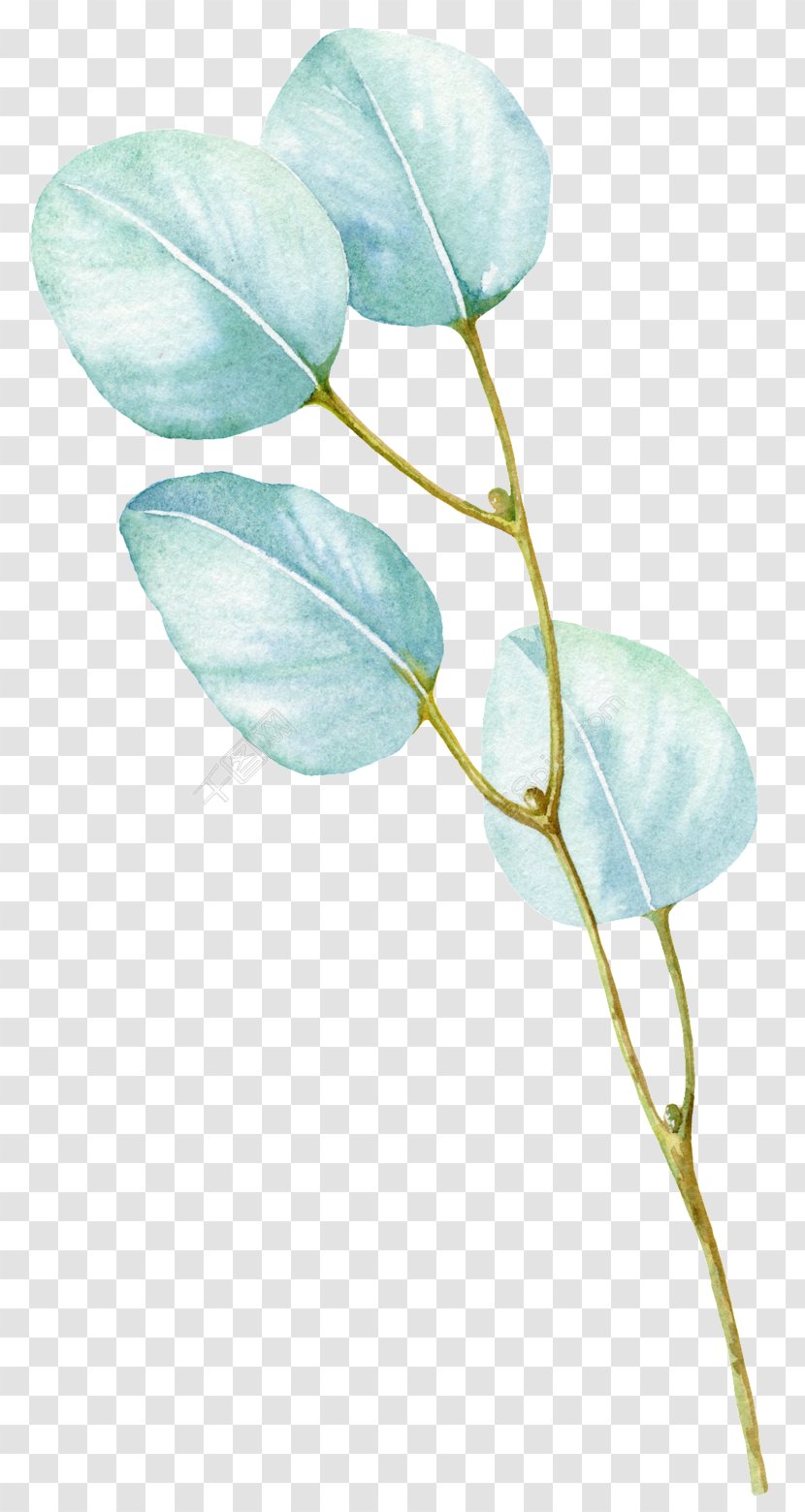 Graphic Design - Plant Stem Transparent PNG