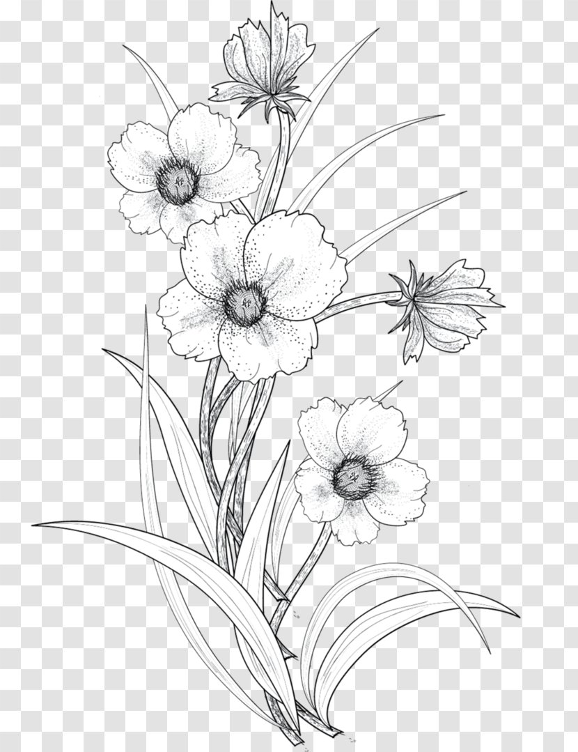Drawing Flower Line Art - Flowers Transparent PNG