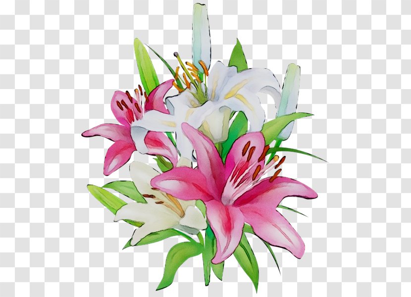 Clip Art Portable Network Graphics Flower Easter Lily 'Stargazer' - Bouquet - Pink Transparent PNG