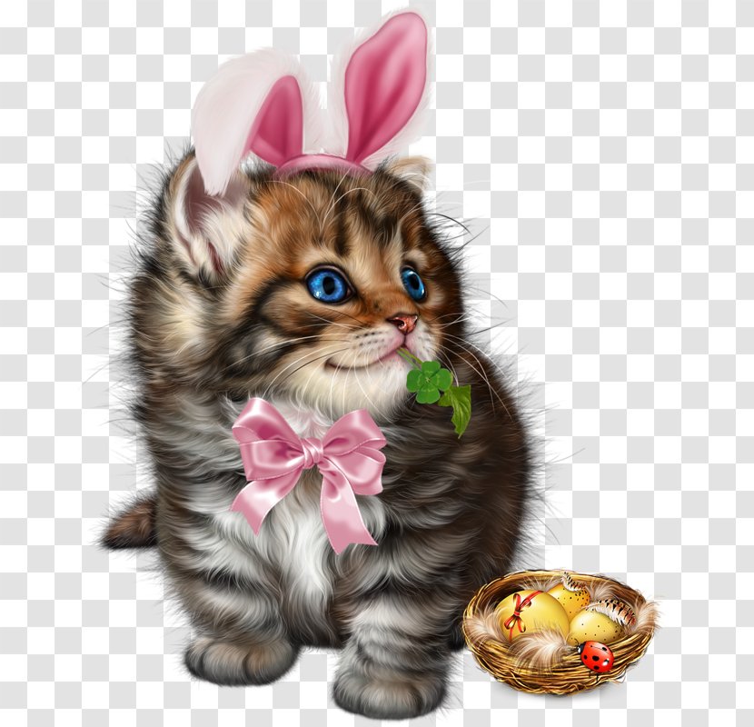 Kitten Whiskers Cat Easter Clip Art - American Curl Transparent PNG