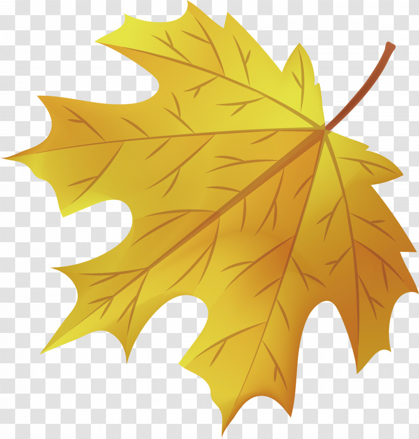 Maple Leaf Transparent PNG