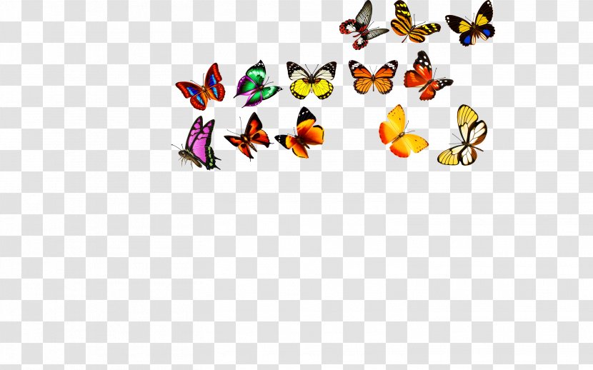 Butterfly Computer File - Raster Graphics - Butterfly,Creative Transparent PNG