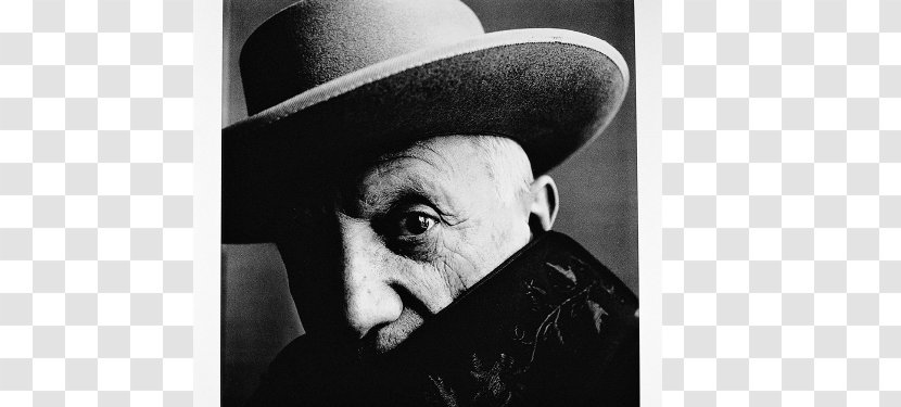 Portrait Villa La Californie Photographer Photography Irving Penn: Flowers - Penn - Pablo Picasso Transparent PNG