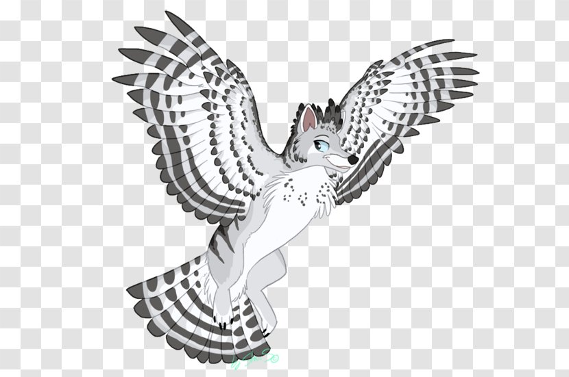 Owl Clip Art Fauna Illustration Beak - Line Transparent PNG