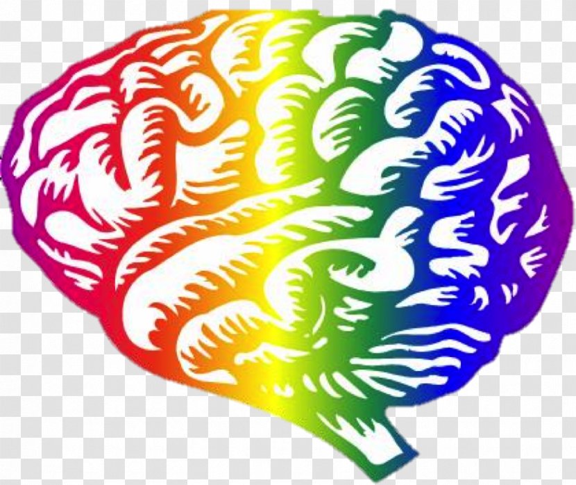 Human Brain Neuroscience Posttraumatic Stress Disorder Neuroimaging - Australia Culture Transparent PNG