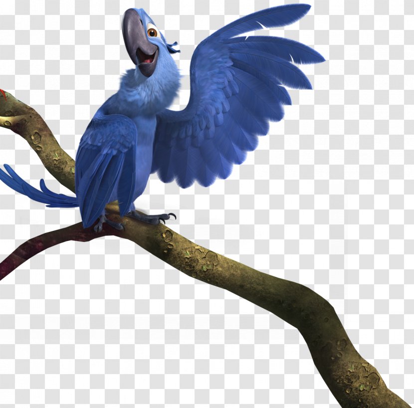 Jewel Blu Nigel Linda Rio - Bird Transparent PNG