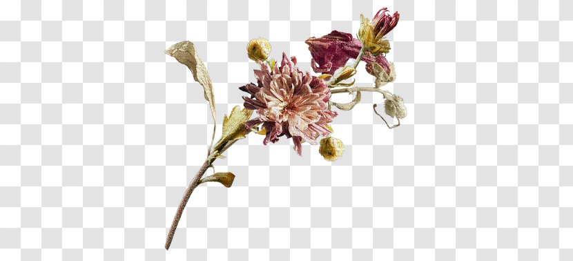 Cut Flowers Clip Art - Petal - Flower Transparent PNG