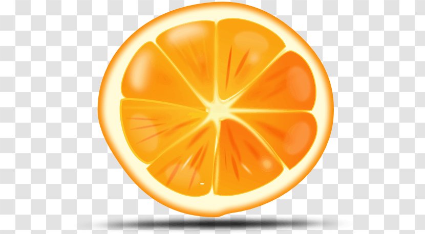 Orange Clip Art Vector Graphics Citrus × Sinensis Openclipart Transparent PNG