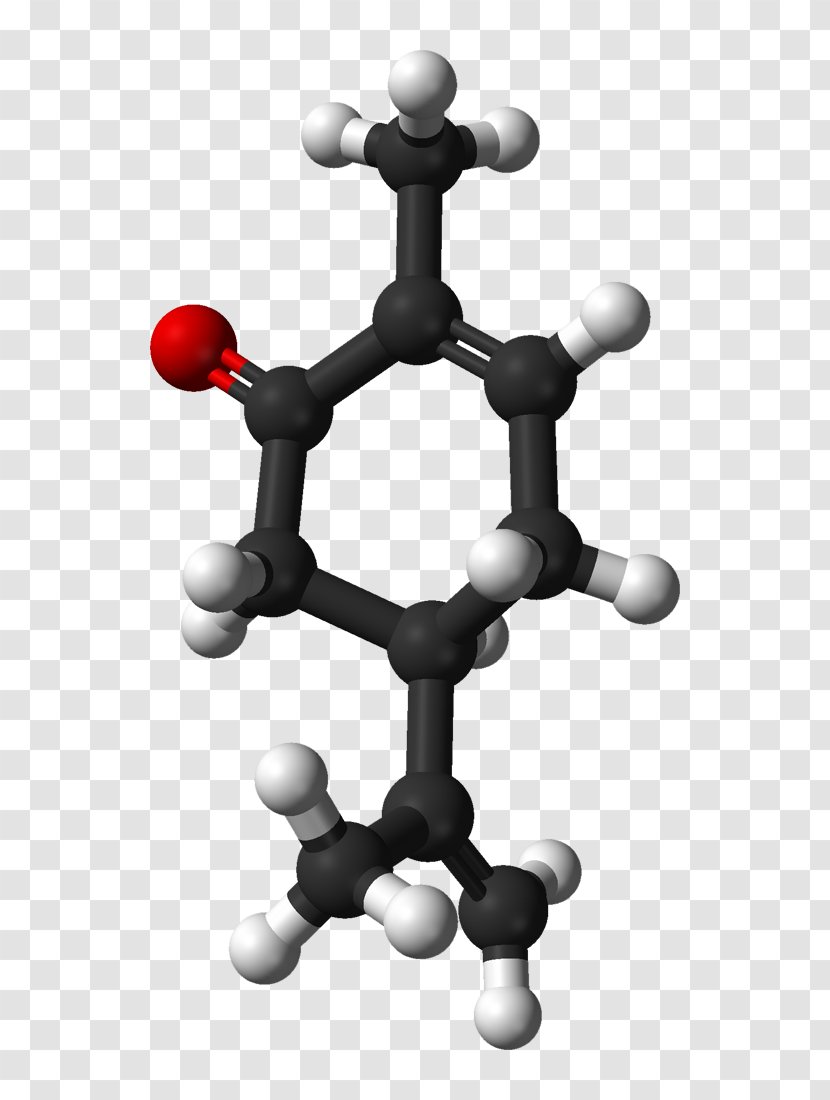 2-Nitrotoluene Solvent In Chemical Reactions Xylene Chemistry - Silhouette - Tree Transparent PNG