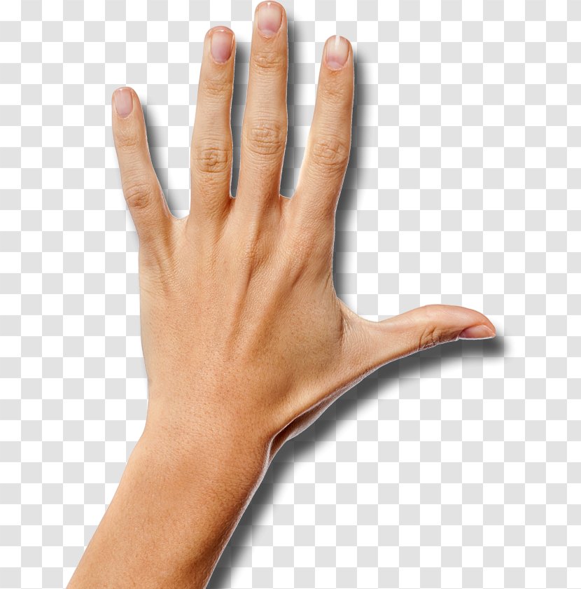 Thumb Hand Wrist Arm Palm - Finger Transparent PNG