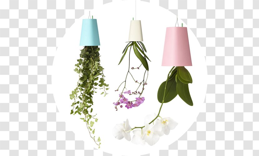 Flowerpot Garden Plastic Plant - Flower Transparent PNG