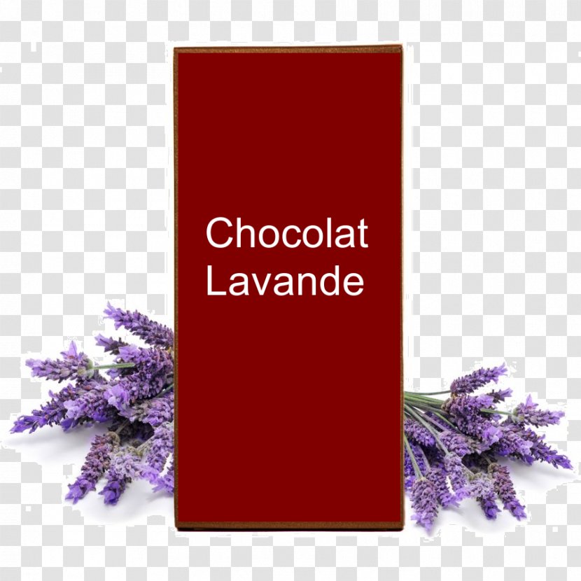 Lavender Oil Essential English Aromatherapy - Pine Transparent PNG