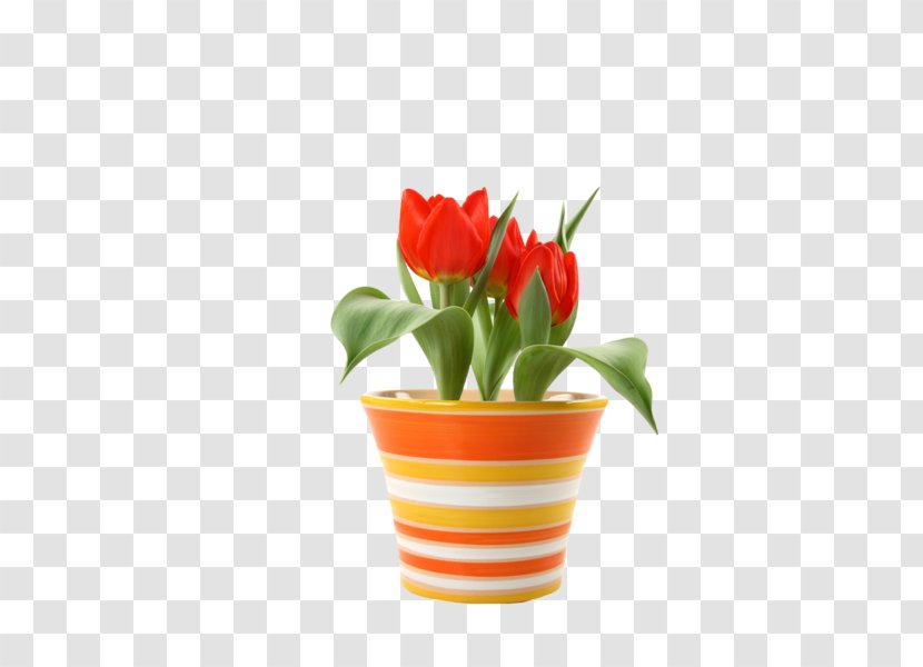 Flowerpot Saucer Plastic Crock Tulip - Plant Transparent PNG