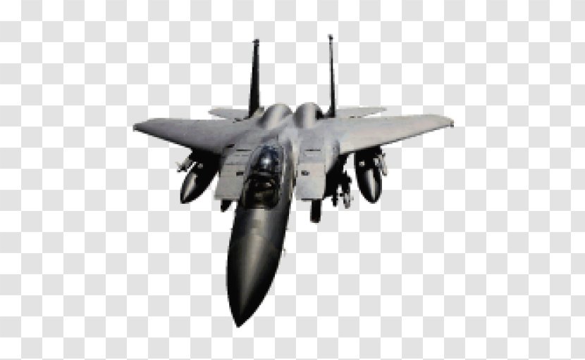 McDonnell Douglas F-15 Eagle F-15E Strike Grumman F-14 Tomcat Düsenjäger - United States Air Force - Fly Attack Transparent PNG