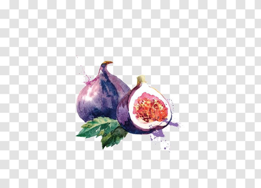 Common Fig Euclidean Vector Royalty-free - Fruit,watercolor,pomegranate,purple Transparent PNG