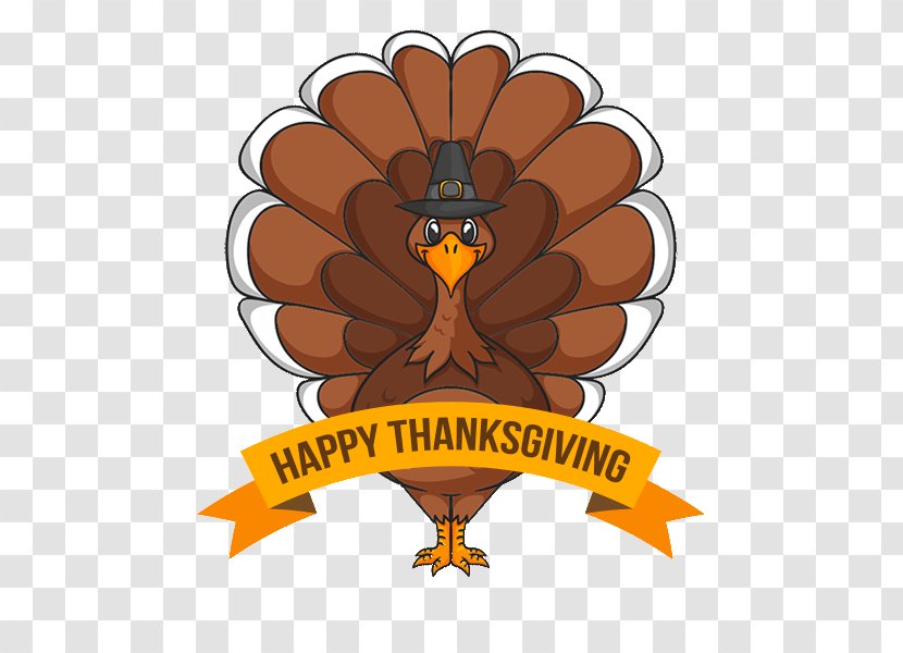 Thanksgiving Turkey Meat Clip Art - Beak Transparent PNG
