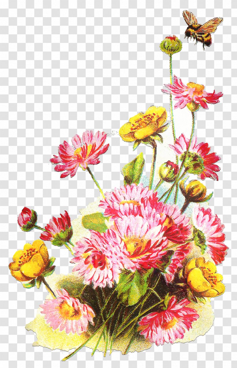 Pink Flowers Background - Daisy Family Transparent PNG