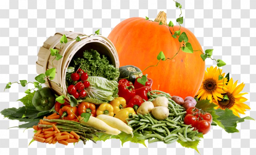 Vegetable Poland Diet Health Auglis - Winter Squash Transparent PNG