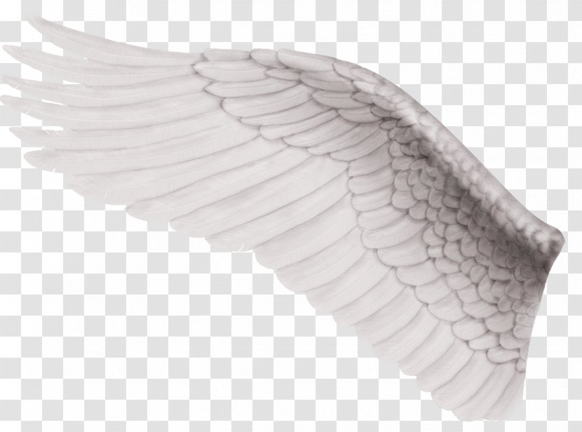 Clip Art Image Transparency Psd - Wing - Devil Wings Transparent PNG