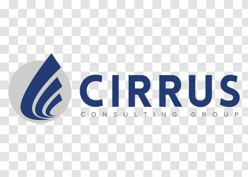Cirrus Consulting Group Health Care Service Business Transparent PNG