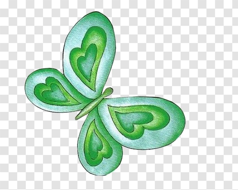 Butterfly Paper Drawing Moth - Green Transparent PNG