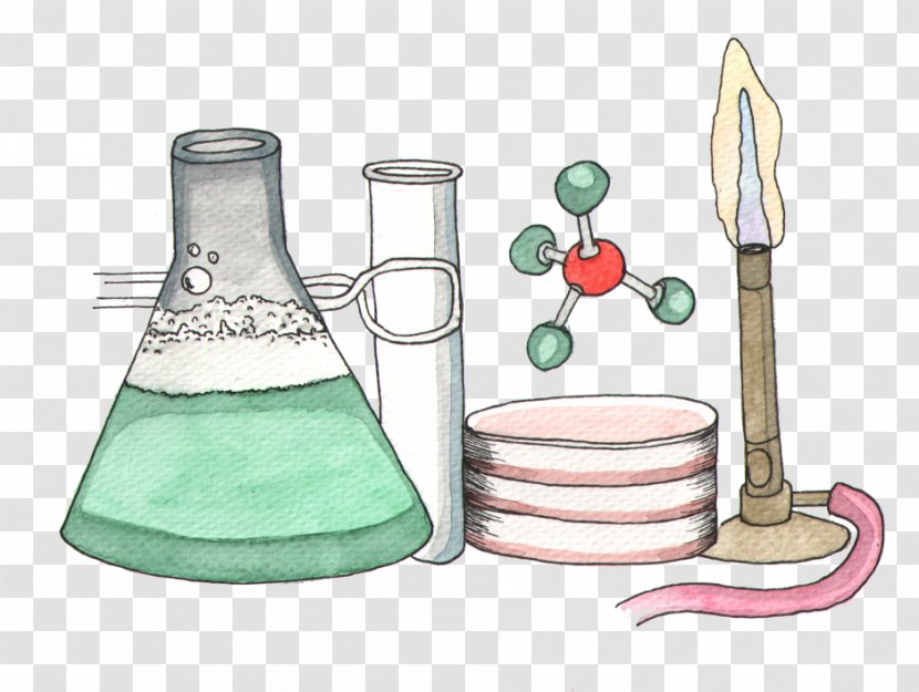 Biology Science Chemistry Physics Experience - 1st Year Transparent PNG
