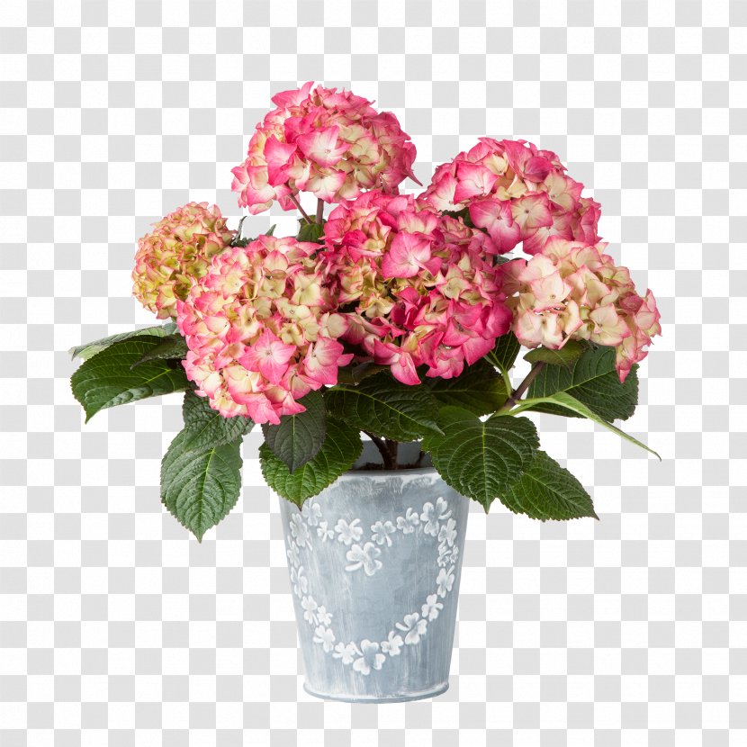 Interflora Norway SA Flower Bouquet Gift - Flowerpot Transparent PNG