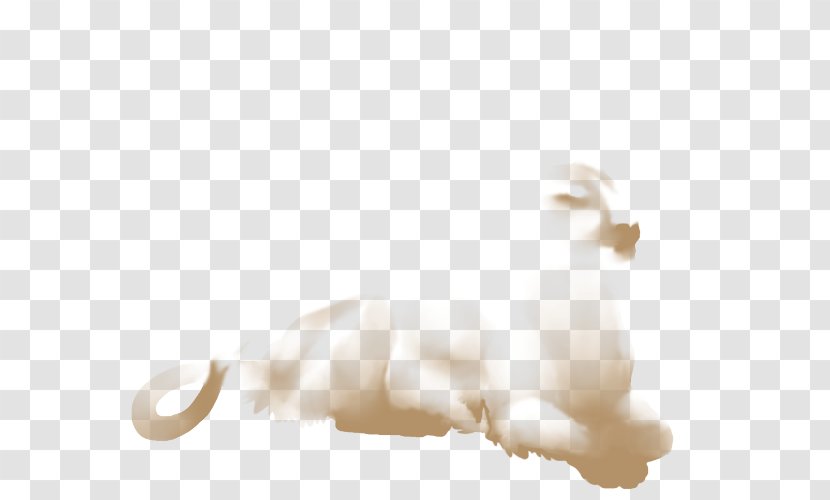 Cat Dog Ear Canidae Tail Transparent PNG