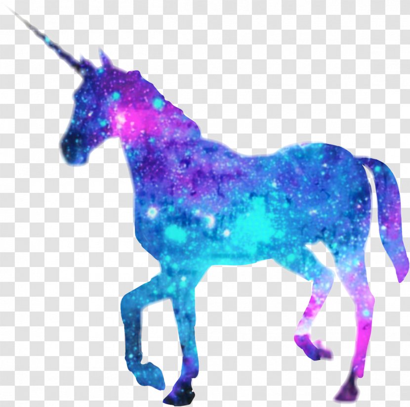 Unicorn Drawing - Horse - Mane Transparent PNG