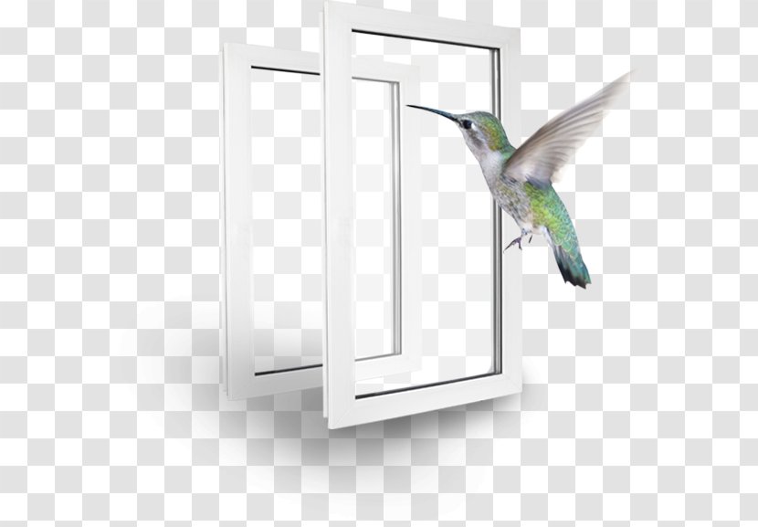 Window - Bird Transparent PNG