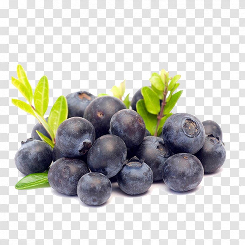 Juice Smoothie Vaccinium Corymbosum Health Amora - Local Food - Blueberry Purple Transparent PNG