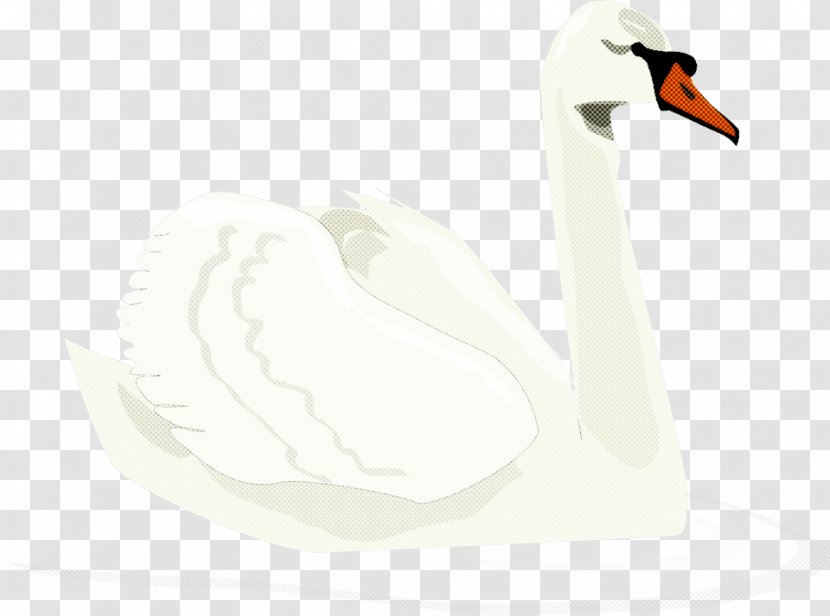Water Cartoon - Duck - Stork Tundra Swan Transparent PNG