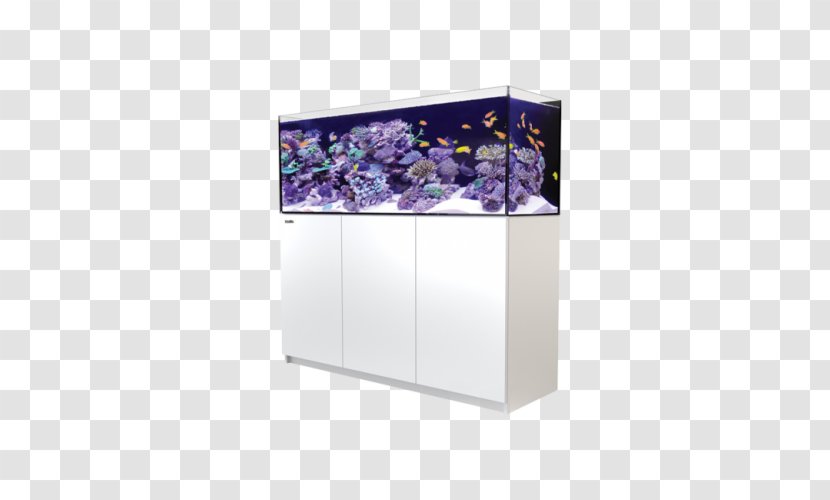 Red Sea Reefer 350 450 Aquariums REEFER Peninsula XL 525 - Furniture - Coral Transparent PNG