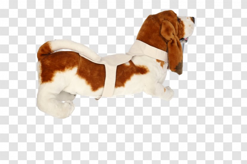 Basset Hound Beagle Puppy Dog Breed Companion Transparent PNG
